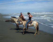 Costa Rica-Caribbean Coast-Caribbean Delight